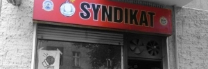 Syndikat